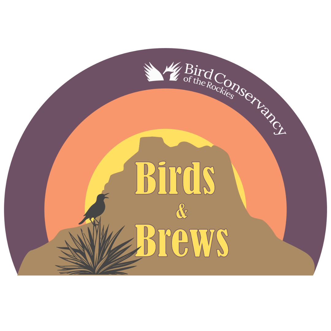 Birds & Brews Photo